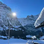 Wieseli