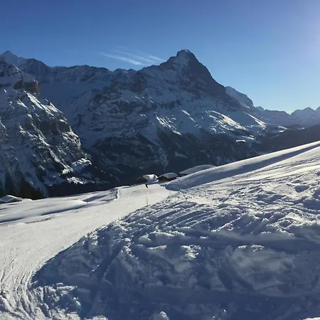 Appartement Wieseli Grindelwald