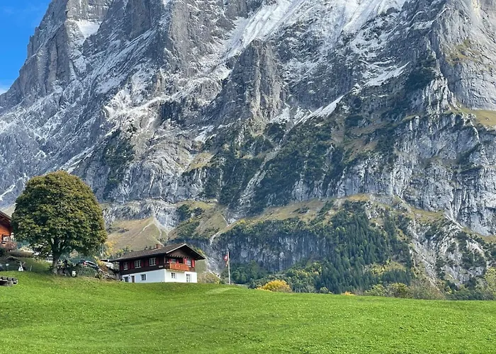 Lägenhet Wieseli Grindelwald