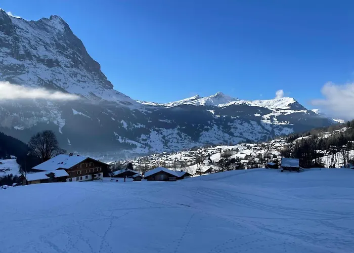 Lägenhet Wieseli Grindelwald