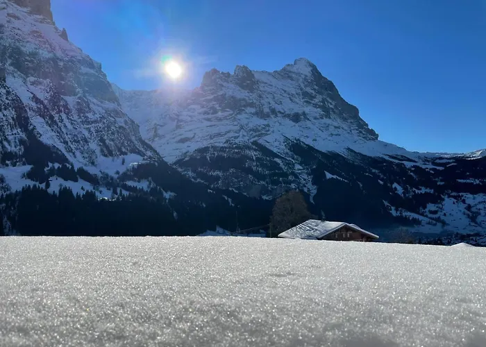 Wieseli 그린델발트