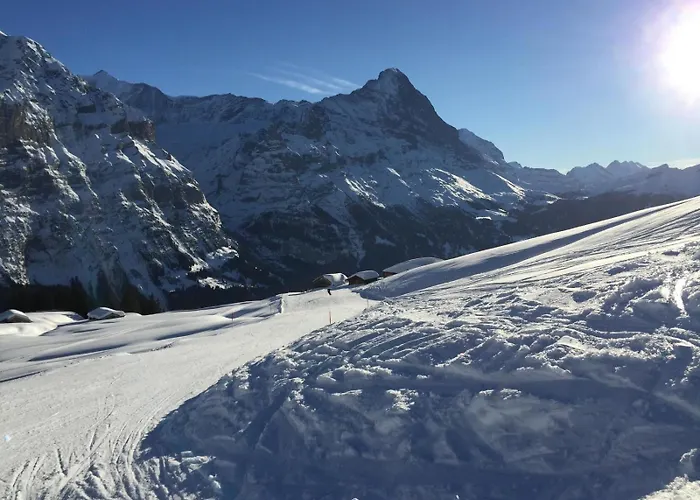 Apartamento Wieseli Grindelwald