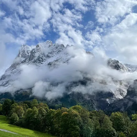 Wieseli *